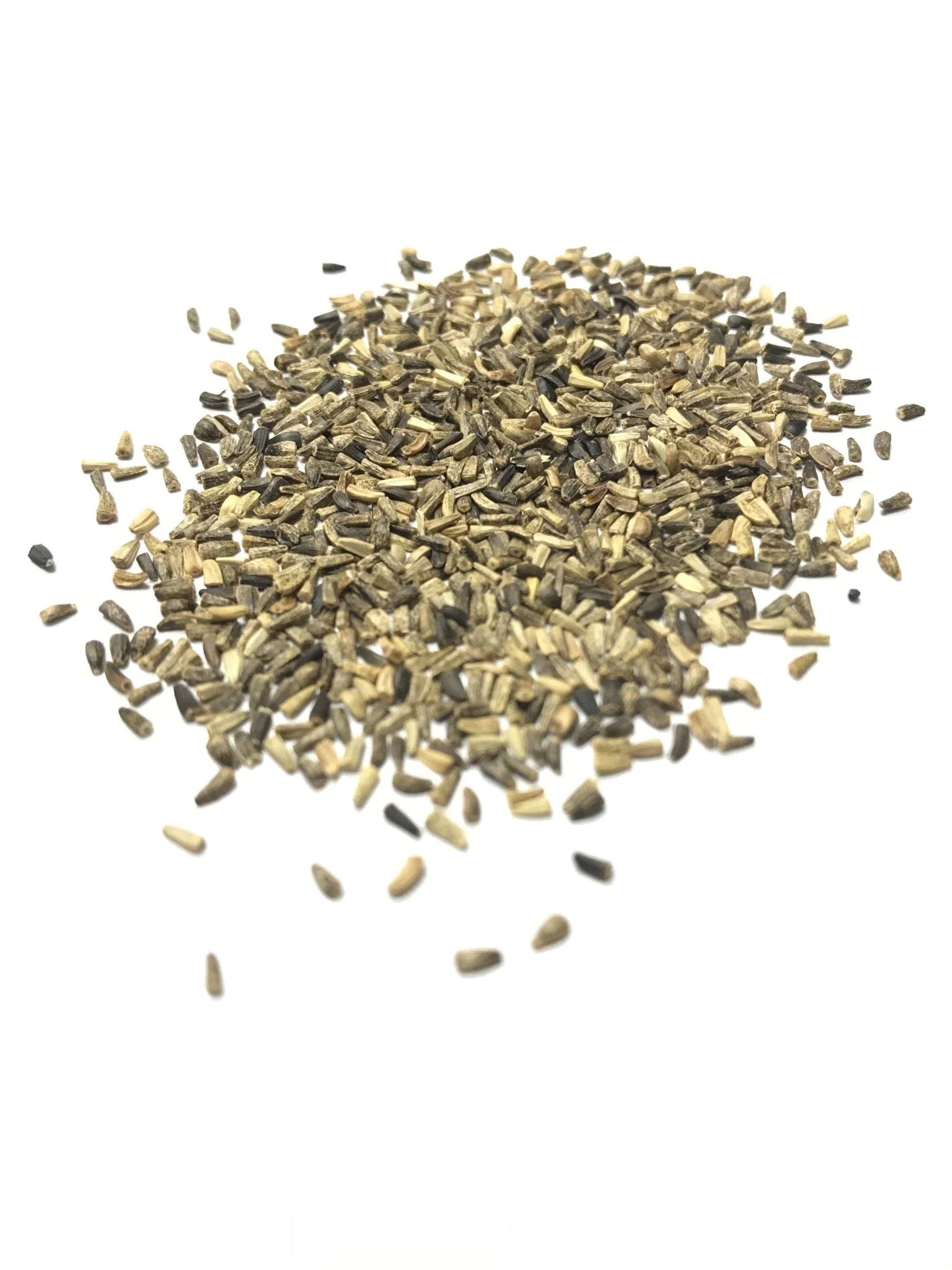 Chicory - 3208 - Image 3