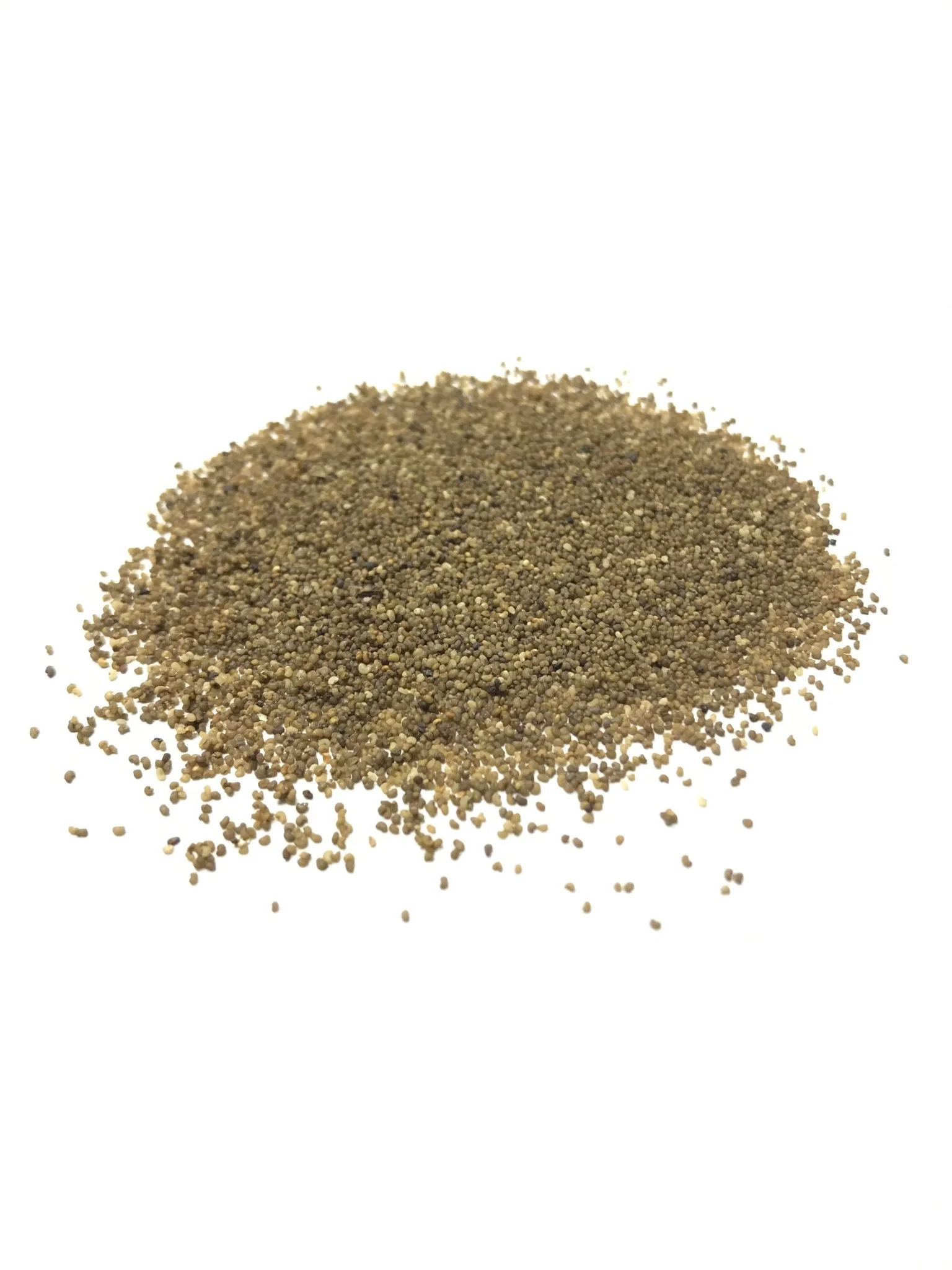 Corn Poppy - 3234 - Image 3