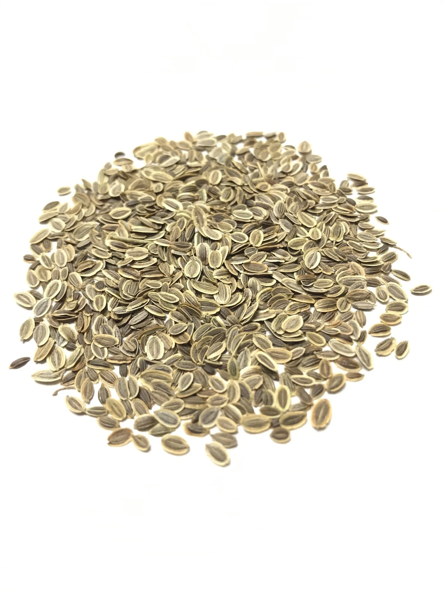 Dill - 3509 - Image 2