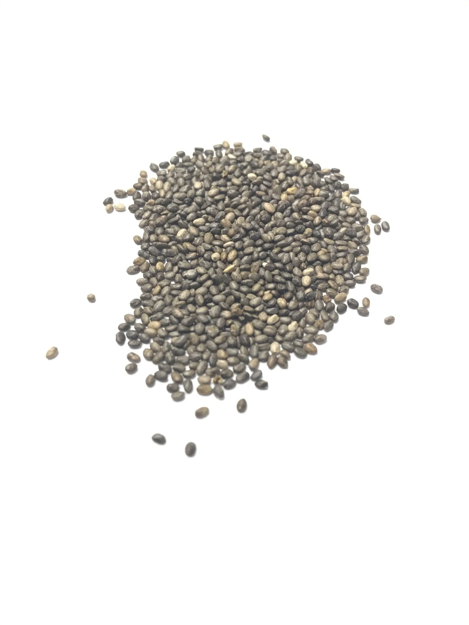 Mealy Blue Sage - 3302 - Image 3