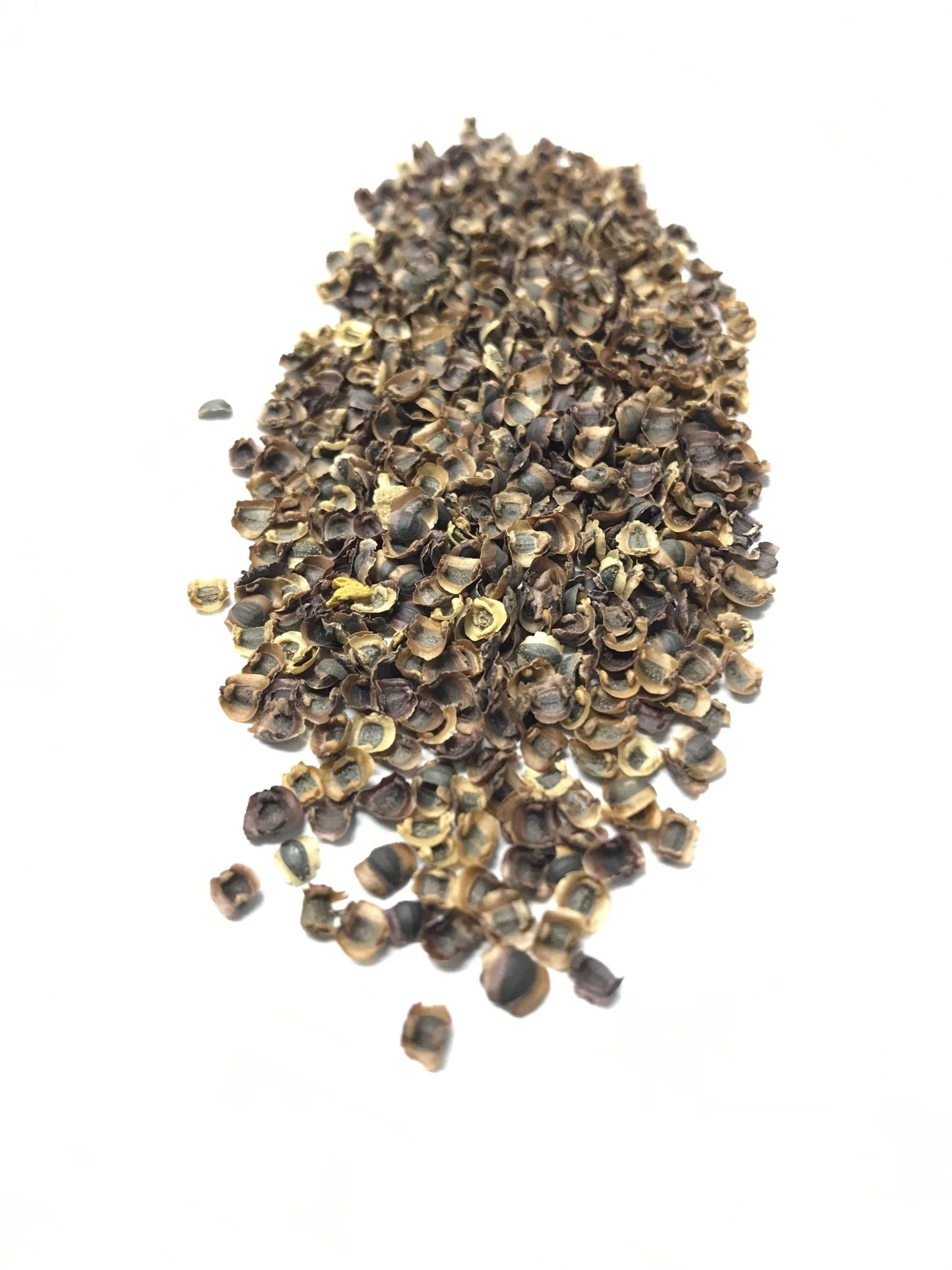 Tickseed/Lance-leaved Coreopsis - 3210 - Image 3